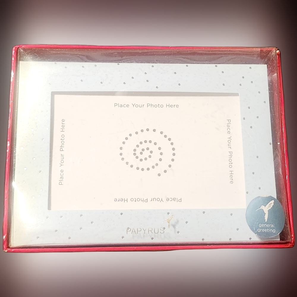 NWT PAPYRUS SET OF BLANK PHOTO INSERTABLE HOLIDAY CARDS SET OF 12!
